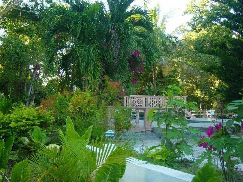 Icis Villas Brewers Bay Exteriér fotografie